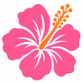 Hibiscus Flower