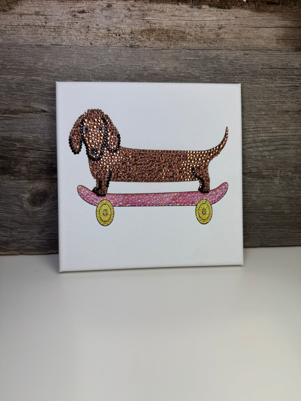 Wiener Dog on a Skateboard
